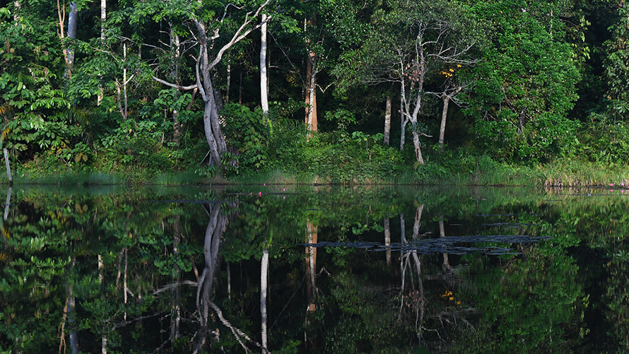 BMW Group Report BMW Sustainability BMW Sustainability BMW Group Report stretch of water with trees in the background